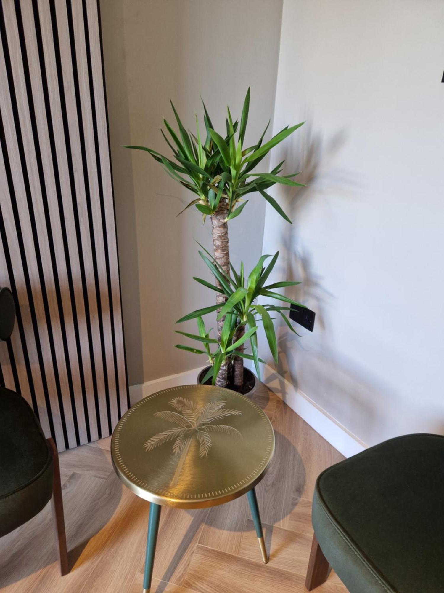 Stylish Bedroom Zone 1